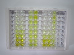 ELISA Kit for Coagulation Factor XI (F11)