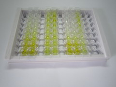 ELISA Kit for Amylase Alpha (Amya)