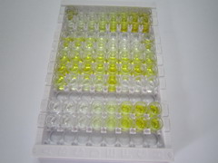 ELISA Kit for Cluster Of Differentiation 83 (CD83)