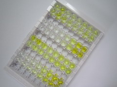 ELISA Kit for Coagulation Factor VIII (F8)