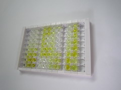 ELISA Kit for Apolipoprotein C3 (APOC3)