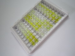 ELISA Kit for Insulin Degrading Enzyme (IDE)