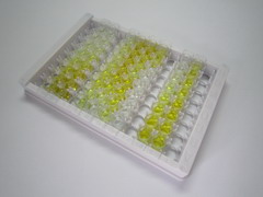 ELISA Kit for Defensin Alpha 5, Paneth Cell Specific (DEFa5)