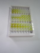 ELISA Kit for Syndecan 4 (SDC4)