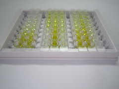 ELISA Kit for Tissue Factor Pathway Inhibitor 2 (TFPI2)