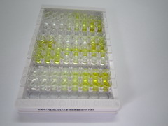 ELISA Kit for Superoxide Dismutase 1 (SOD1)