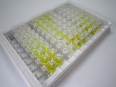 ELISA Kit for Superoxide Dismutase 1 (SOD1)