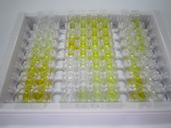 ELISA Kit for Complement Component 5 (C5)