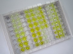 ELISA Kit for Complement Factor I (CFI)