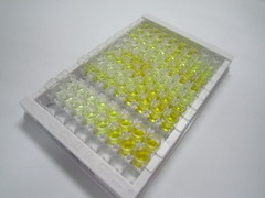 ELISA Kit for Hepcidin (Hepc)