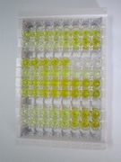 ELISA Kit for Hemopexin (HPX)