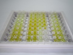 ELISA Kit for Toll Like Receptor 1 (TLR1)