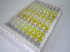 ELISA Kit for Apolipoprotein A5 (APOA5)