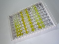 ELISA Kit for Interleukin 8 Receptor Beta (IL8Rb)