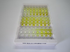 ELISA Kit for Complement Factor B (CFB)