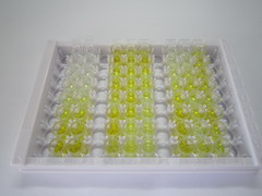 ELISA Kit for Glucose Transporter 4 (GLUT4)