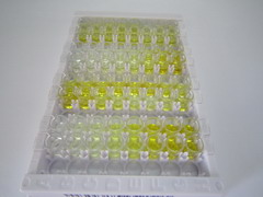 ELISA Kit for Cytokeratin 8 (CK8)