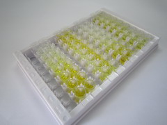 ELISA Kit for Interleukin 28B (IL28B)