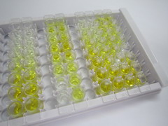 ELISA Kit for S100 Calcium Binding Protein A10 (S100A10)