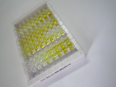 ELISA Kit for High Mobility Group AT Hook Protein 1 (HMGA1)