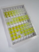 ELISA Kit for Matrix Metalloproteinase 14 (MMP14)