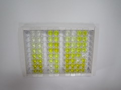 ELISA Kit for Receptor Activator Of Nuclear Factor Kappa B (RANk)