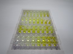 ELISA Kit for VEGF Co Regulated Chemokine 1 (VCC1)