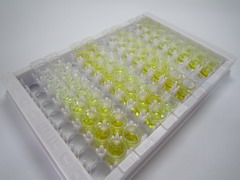 ELISA Kit for Laminin Gamma 1 (LAMC1)