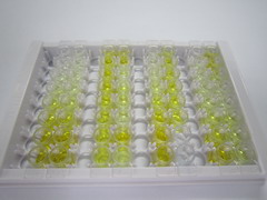 ELISA Kit for Bone Morphogenetic Protein 8B (BMP8B)