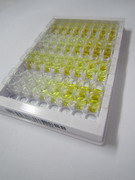 ELISA Kit for Growth Differentiation Factor 1 (GDF1)