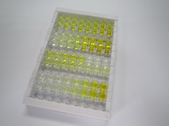 ELISA Kit for Growth Differentiation Factor 5 (GDF5)
