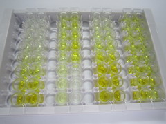 ELISA Kit for Gremlin 1 (GREM1)