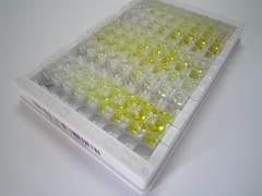 ELISA Kit for Tropomyosin Receptor Kinase B (TrkB)