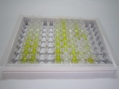 ELISA Kit for C-Met (MET)