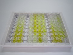 ELISA Kit for Presenilin 1 (PSEN1)