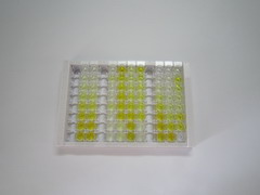 ELISA Kit for Histone Deacetylase 1 (HDAC1)