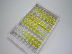 ELISA Kit for Zyxin (ZYX)