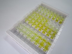 ELISA Kit for 11-Beta-Hydroxysteroid Dehydrogenase Type 1 (HSD11b1)