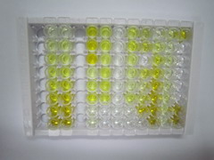 ELISA Kit for Amine Oxidase, Copper Containing 3 (AOC3)