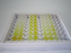 ELISA Kit for Activating Transcription Factor 3 (ATF3)