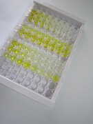 ELISA Kit for Attractin (ATRN)