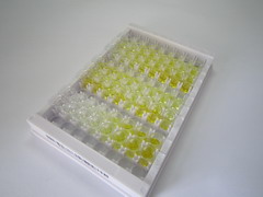 ELISA Kit for Ectonucleotide Pyrophosphatase/Phosphodiesterase 2 (ENPP2)