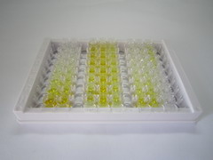 ELISA Kit for Carnitine Acetyltransferase (CRAT)