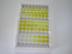 ELISA Kit for Carnitine Acetyltransferase (CRAT)