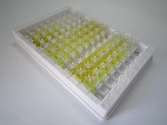 ELISA Kit for Carnitine Palmitoyltransferase 2, Mitochondrial (CPT2)