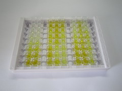 ELISA Kit for Catalase (CAT)