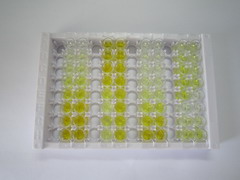 ELISA Kit for Doublecortin (DCX)