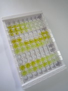 ELISA Kit for Fatty Acid Synthase (FASN)