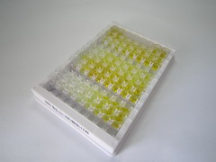 ELISA Kit for Ferroportin (FPN)