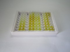 ELISA Kit for Ferroportin (FPN)